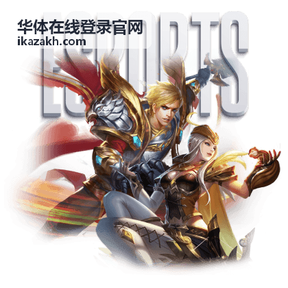 华体在线登录官网账号服务办理窗口与身份核验流程示意